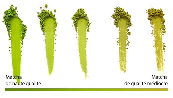 Comment distinguer le bon du mauvais matcha ?